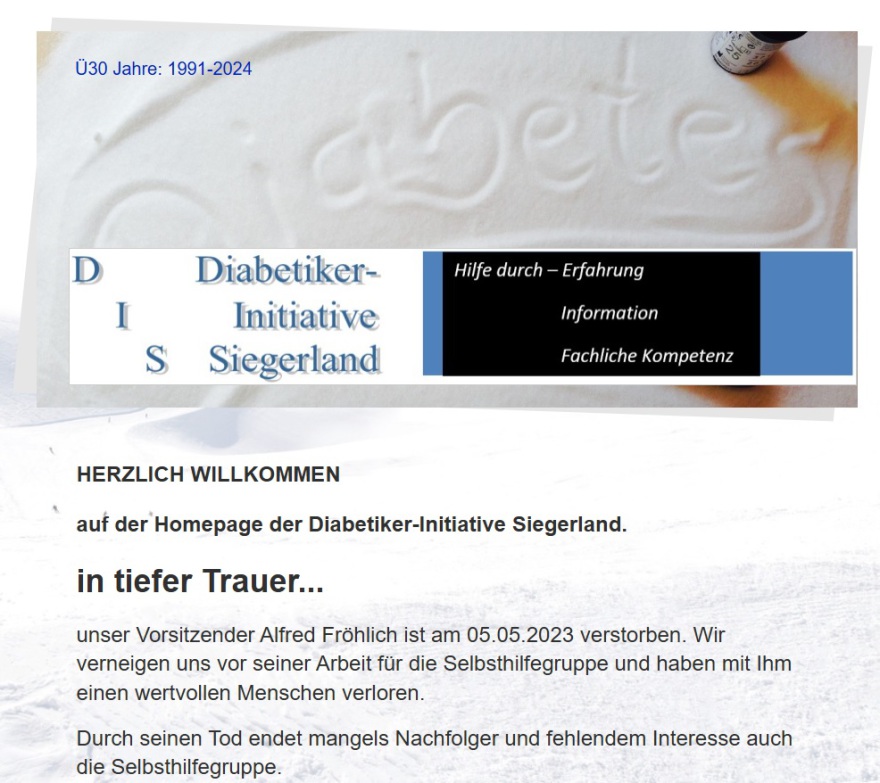 Homepageabdruck der D-I-S